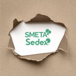 SMETA